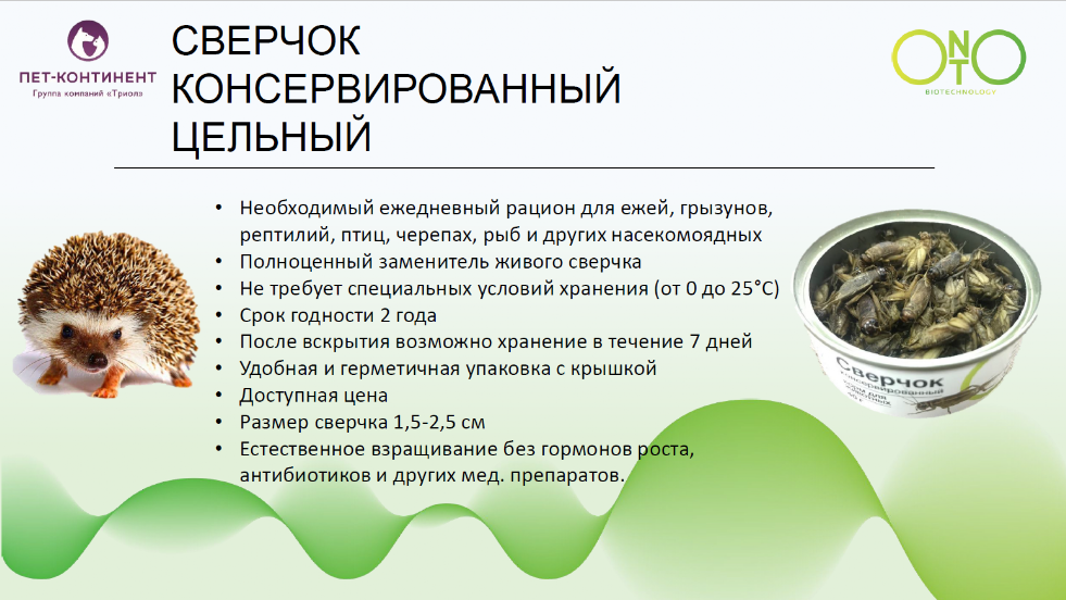 Сверчок консервированный