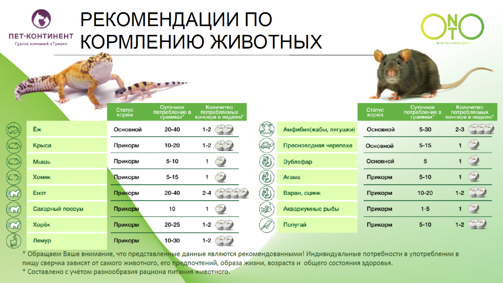корм для паука птицееда