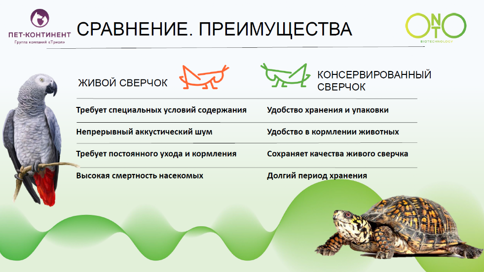 корм для насекомоядных